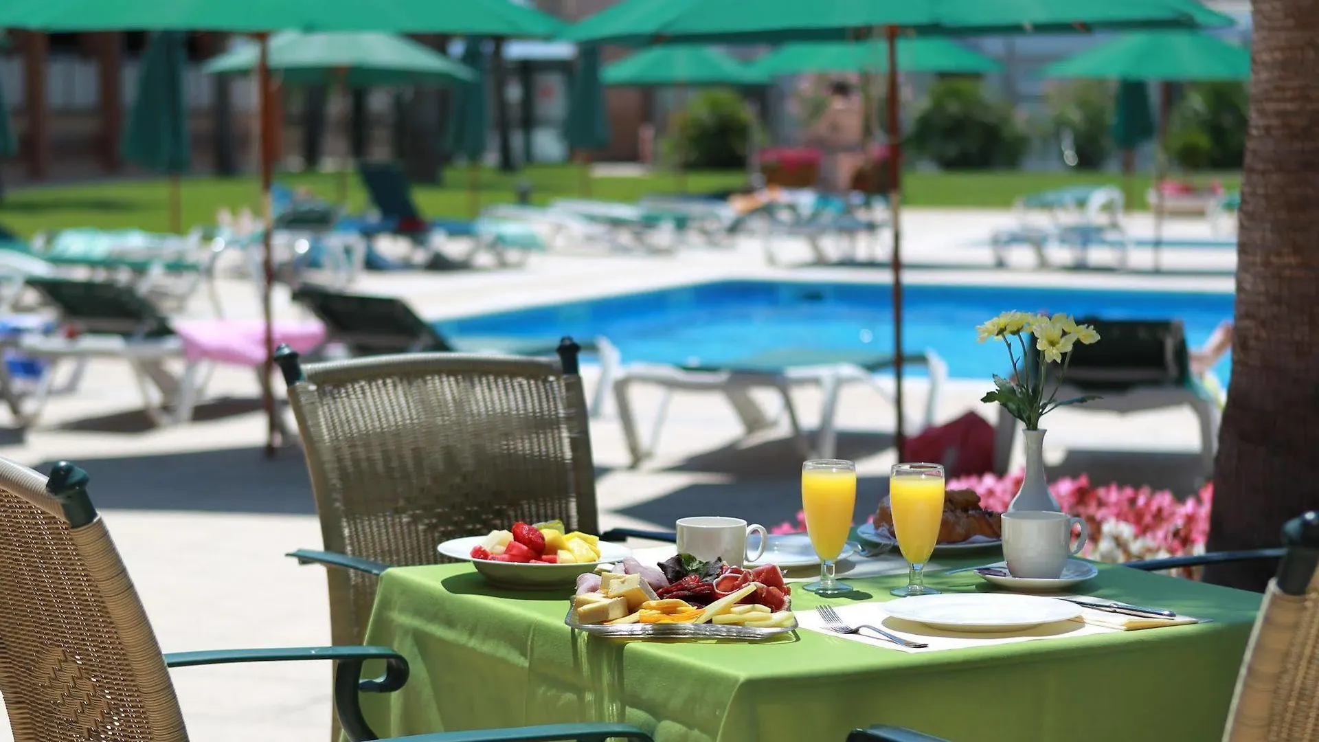 Hotel Clipper - El Delfin Verde Resorts - Platja De Pals Torroella de Montgrí